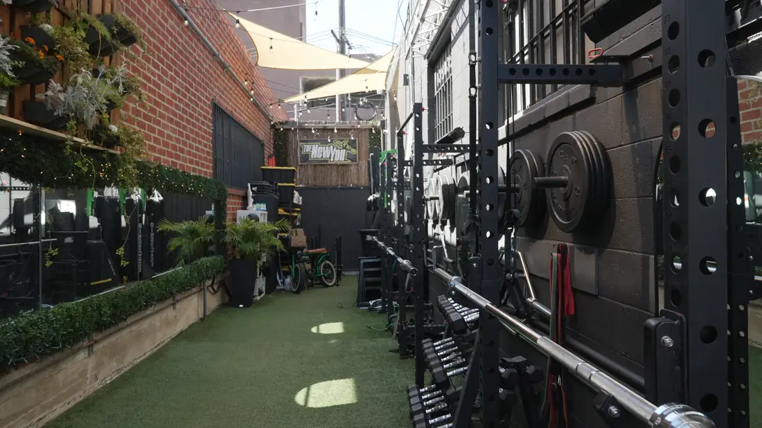 The outdoor gym in daylight, racks and dumbbells on turf